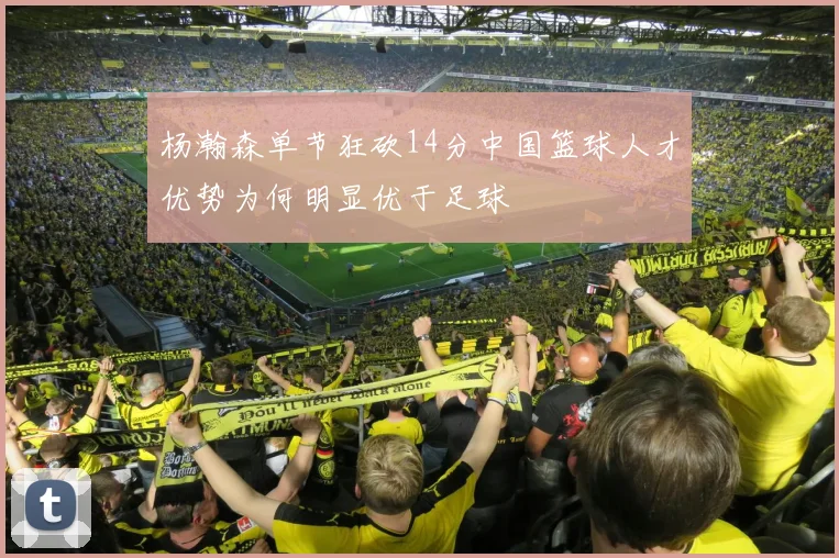 杨瀚森单节狂砍14分中国篮球人才优势为何明显优于足球