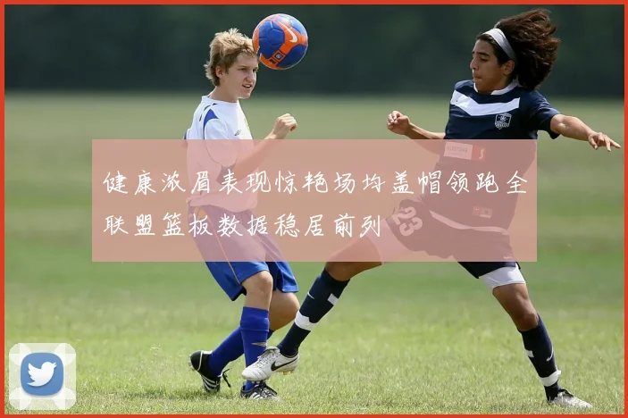 健康浓眉表现惊艳场均盖帽领跑全联盟篮板数据稳居前列