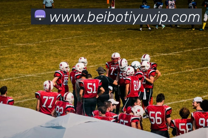 贝博体育平台生态图