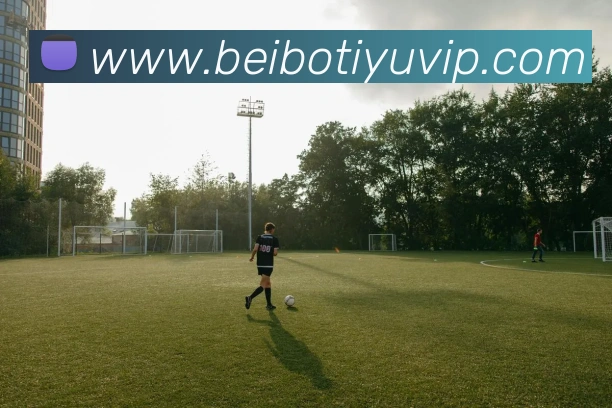 贝博体育APP 封面图